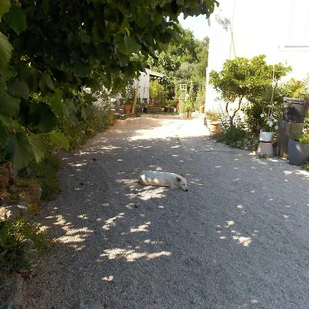 Haus Bozica Muraj